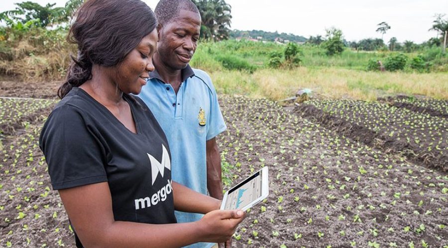AGRICULTURE INTELLIGENTE FORMATION